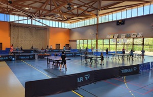 Stage de fin d'année